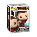 FUNKO POP! Vinyl Figur MARVEL Deadpool und Wolverine Nicepool 1508 9500 PCS